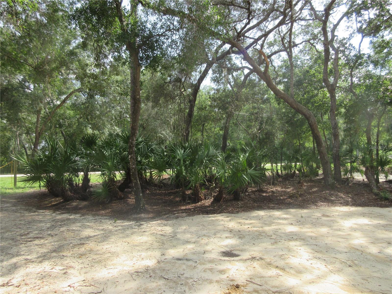 0 SE 10TH ST, SILVER SPRINGS, FL — photo 32