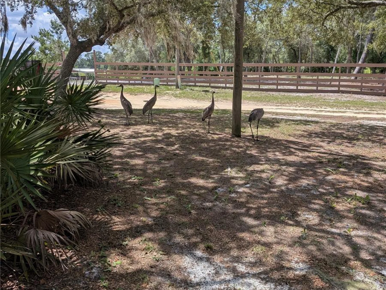 44931 2ND ST, DELAND, FL — photo 23