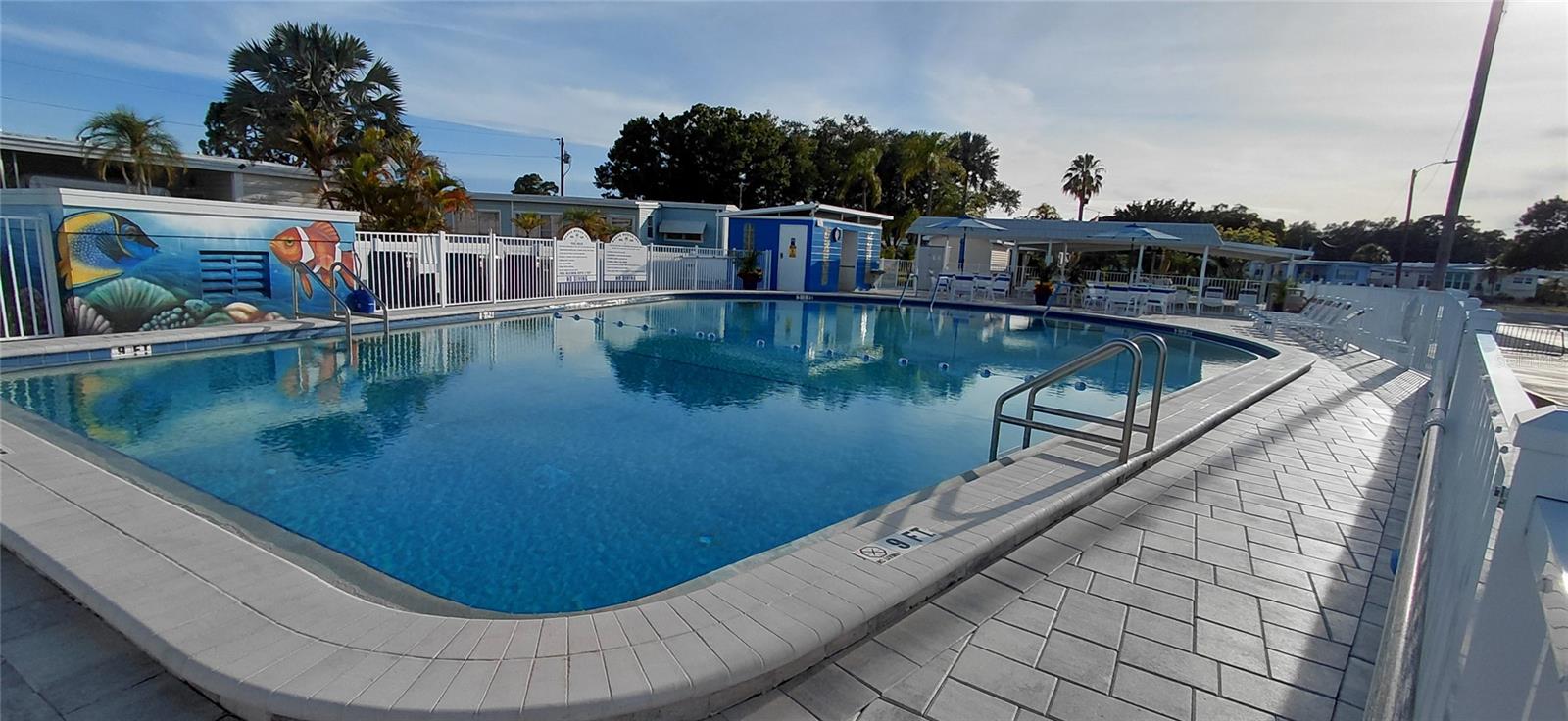 221 HERON RD, CLEARWATER, FL — photo 41