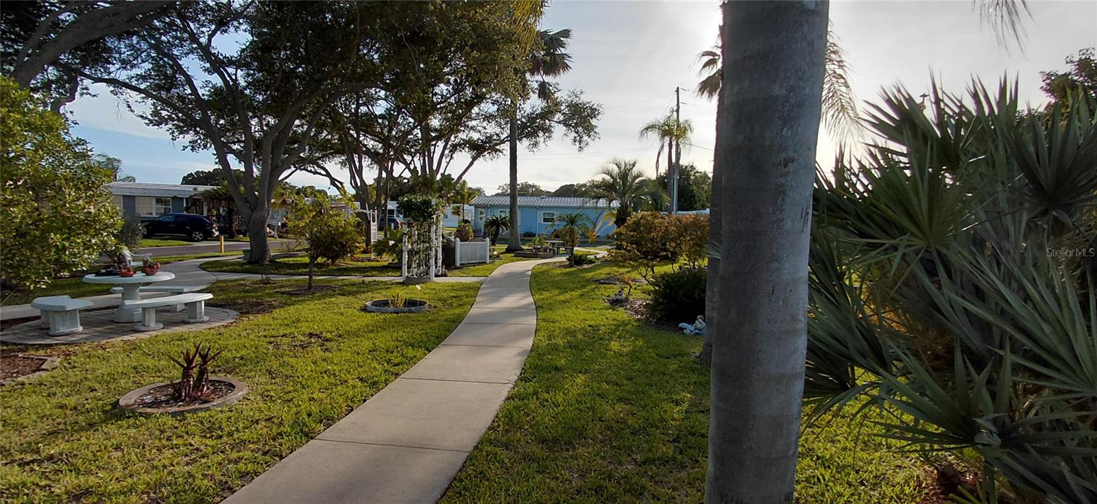 221 HERON RD, CLEARWATER, FL — photo 44