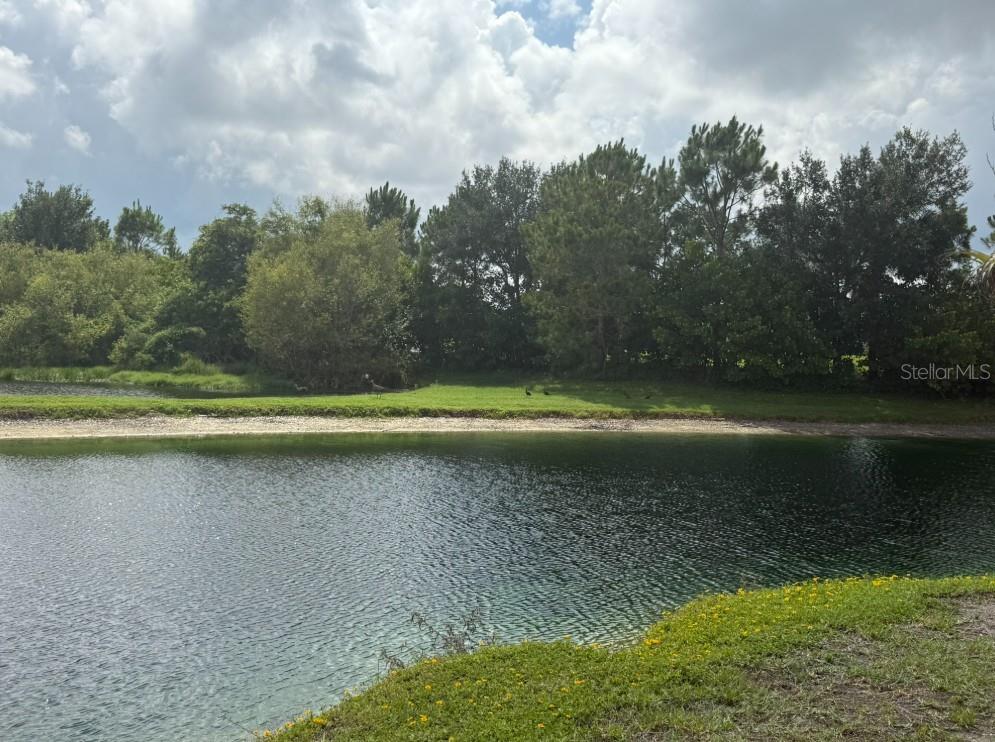 6564 DRAW LN #102, SARASOTA, FL — photo 20