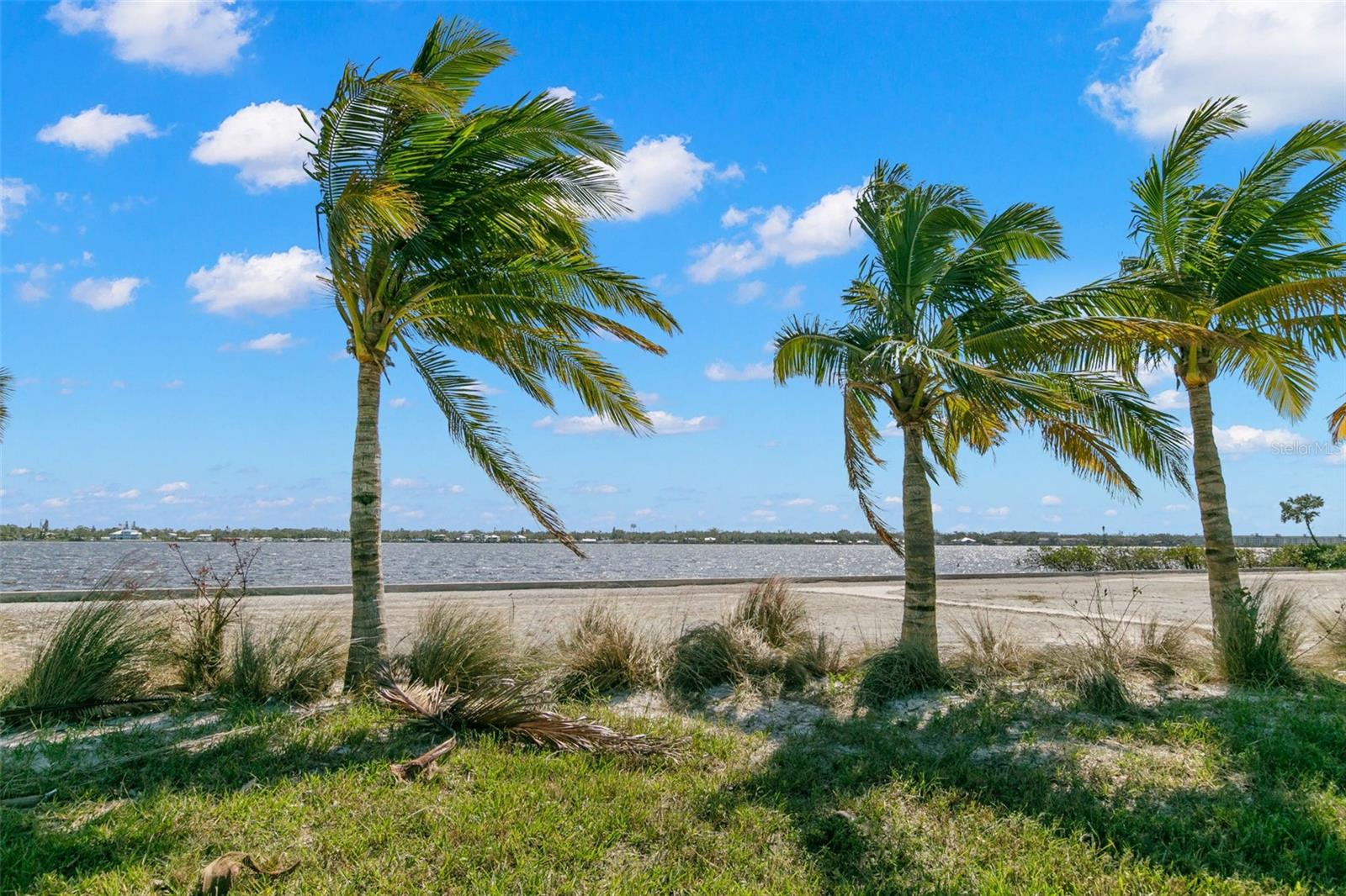 1810 4TH ST E, PALMETTO, FL — photo 47