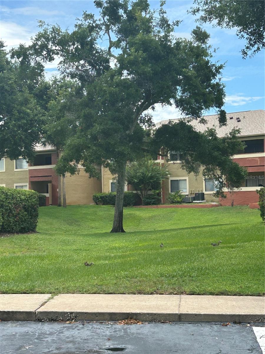 636 KENWICK CIR #105, CASSELBERRY, FL — photo 22