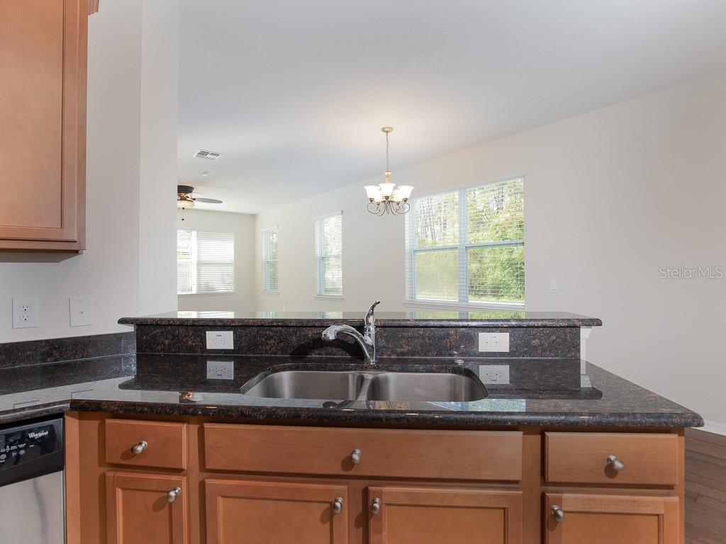 12230 LANGSTAFF DR, WINDERMERE, FL — photo 8
