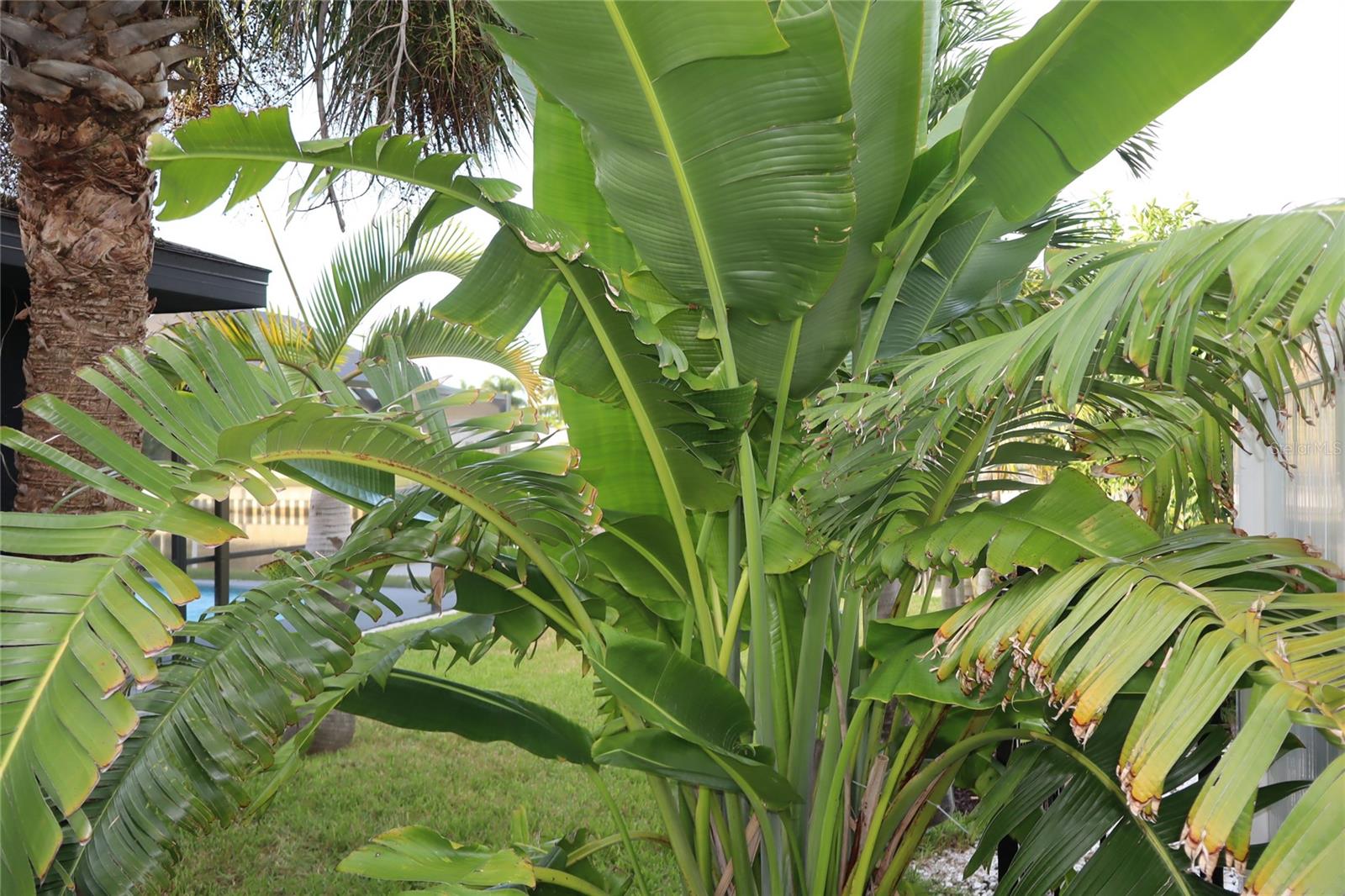1019 SPINDLE PALM WAY, APOLLO BEACH, FL — photo 77