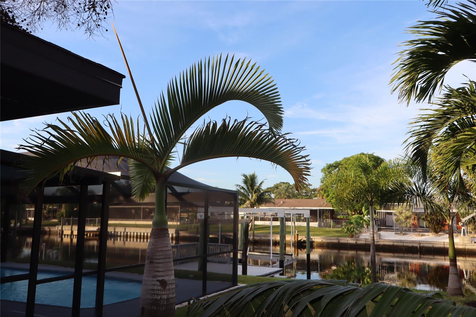 1019 SPINDLE PALM WAY, APOLLO BEACH, FL — photo 80
