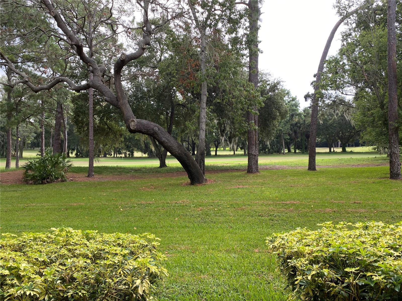 36750 US HIGHWAY 19 N #19-115, PALM HARBOR, FL — photo 16