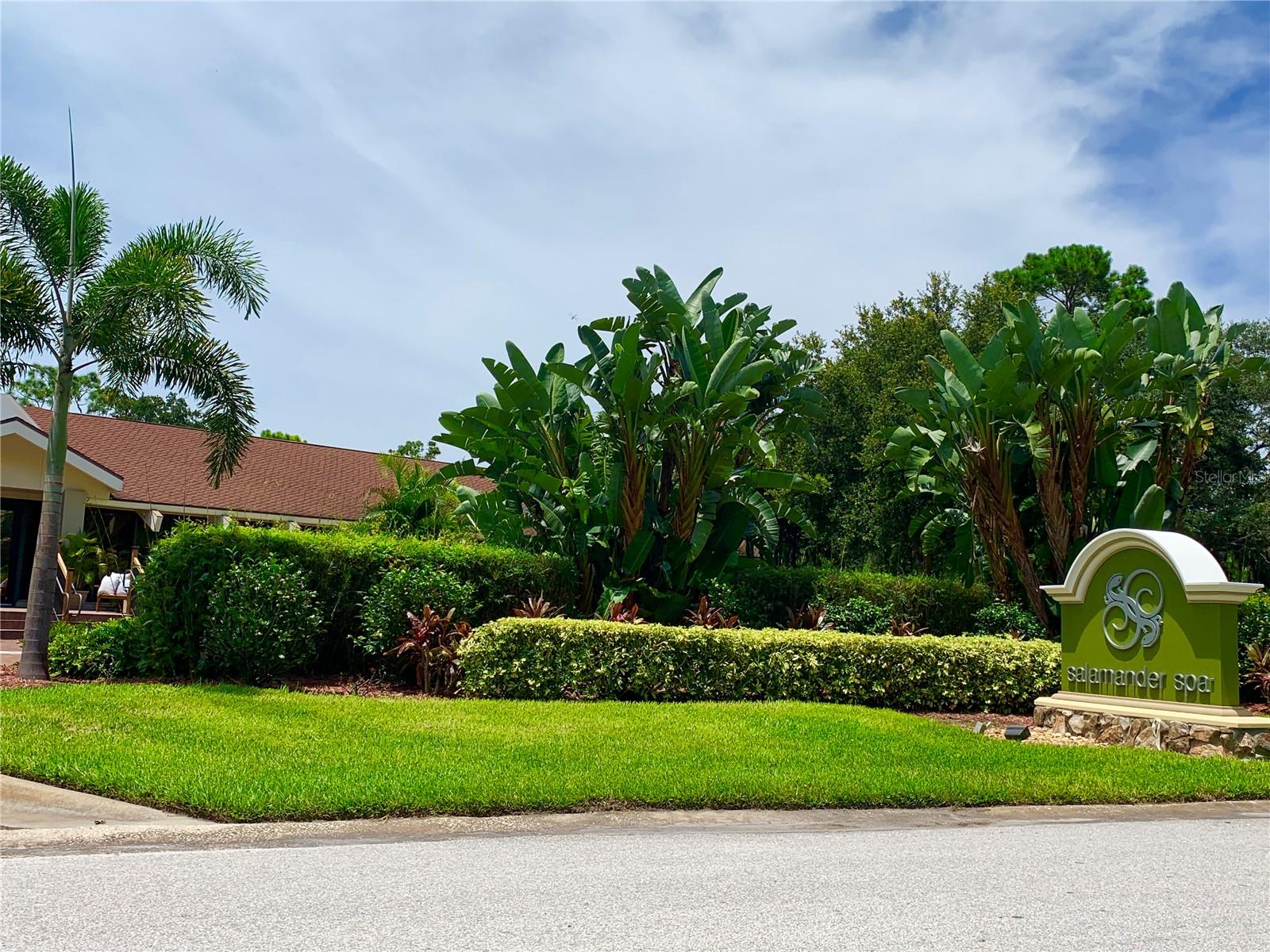 36750 US HIGHWAY 19 N #19-115, PALM HARBOR, FL — photo 19