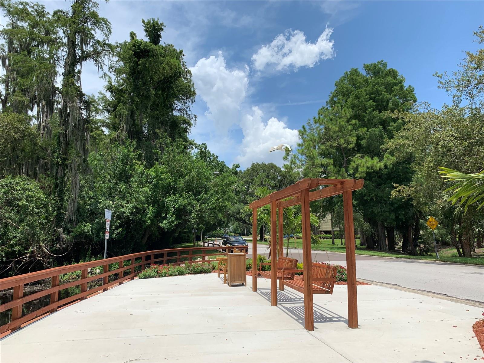 36750 US HIGHWAY 19 N #19-115, PALM HARBOR, FL — photo 20