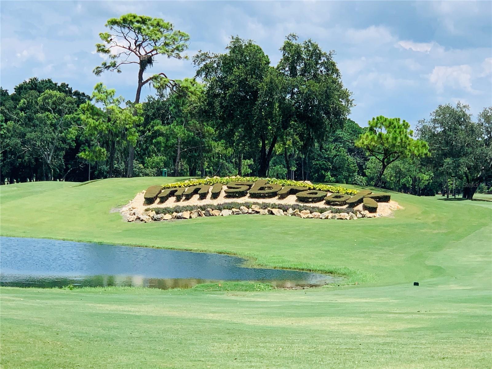 36750 US HIGHWAY 19 N #19-115, PALM HARBOR, FL — photo 22
