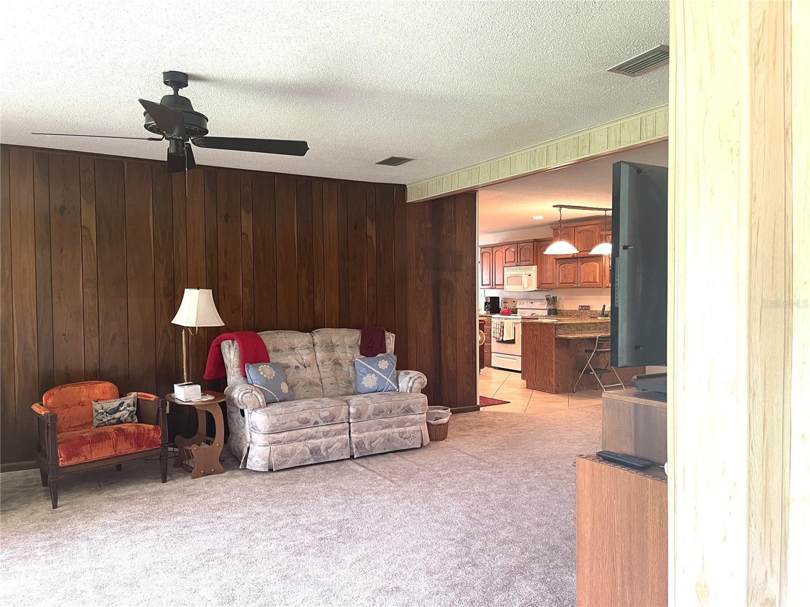 4691 CR 118, WILDWOOD, FL — photo 8