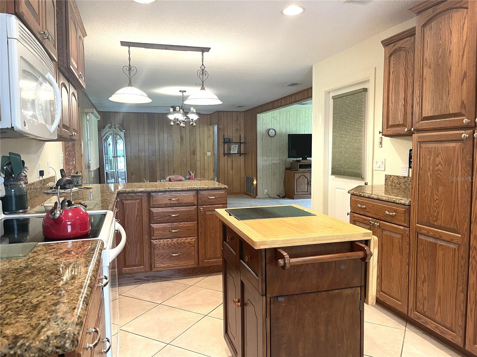 4691 CR 118, WILDWOOD, FL — photo 12