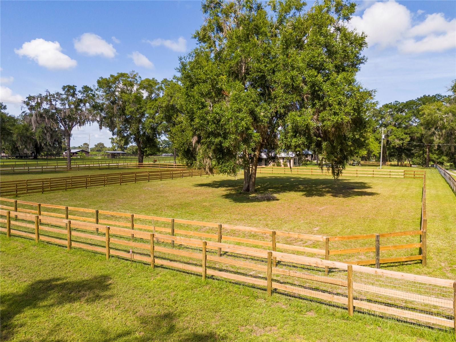 196 NW 100TH AVE, OCALA, FL — photo 39