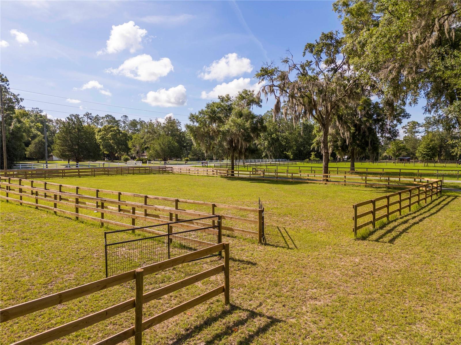196 NW 100TH AVE, OCALA, FL — photo 41
