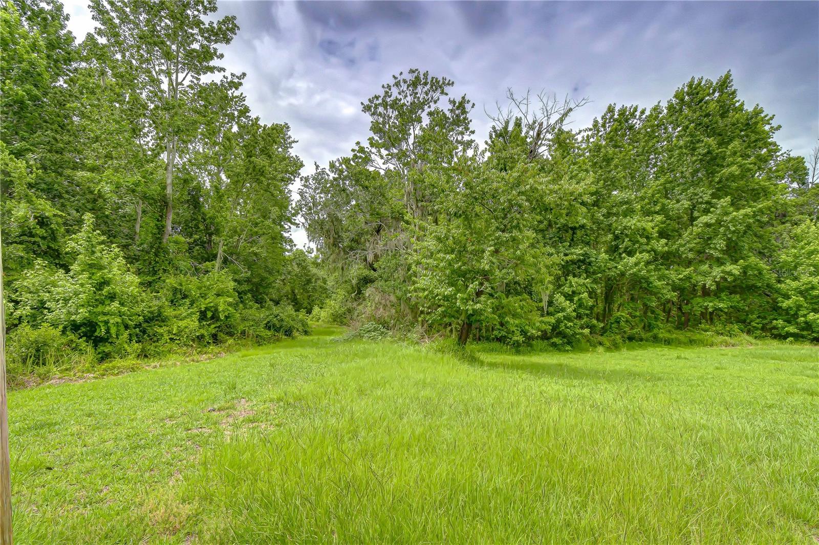 LAKE HILLS DR, RIVERVIEW, FL — photo 7