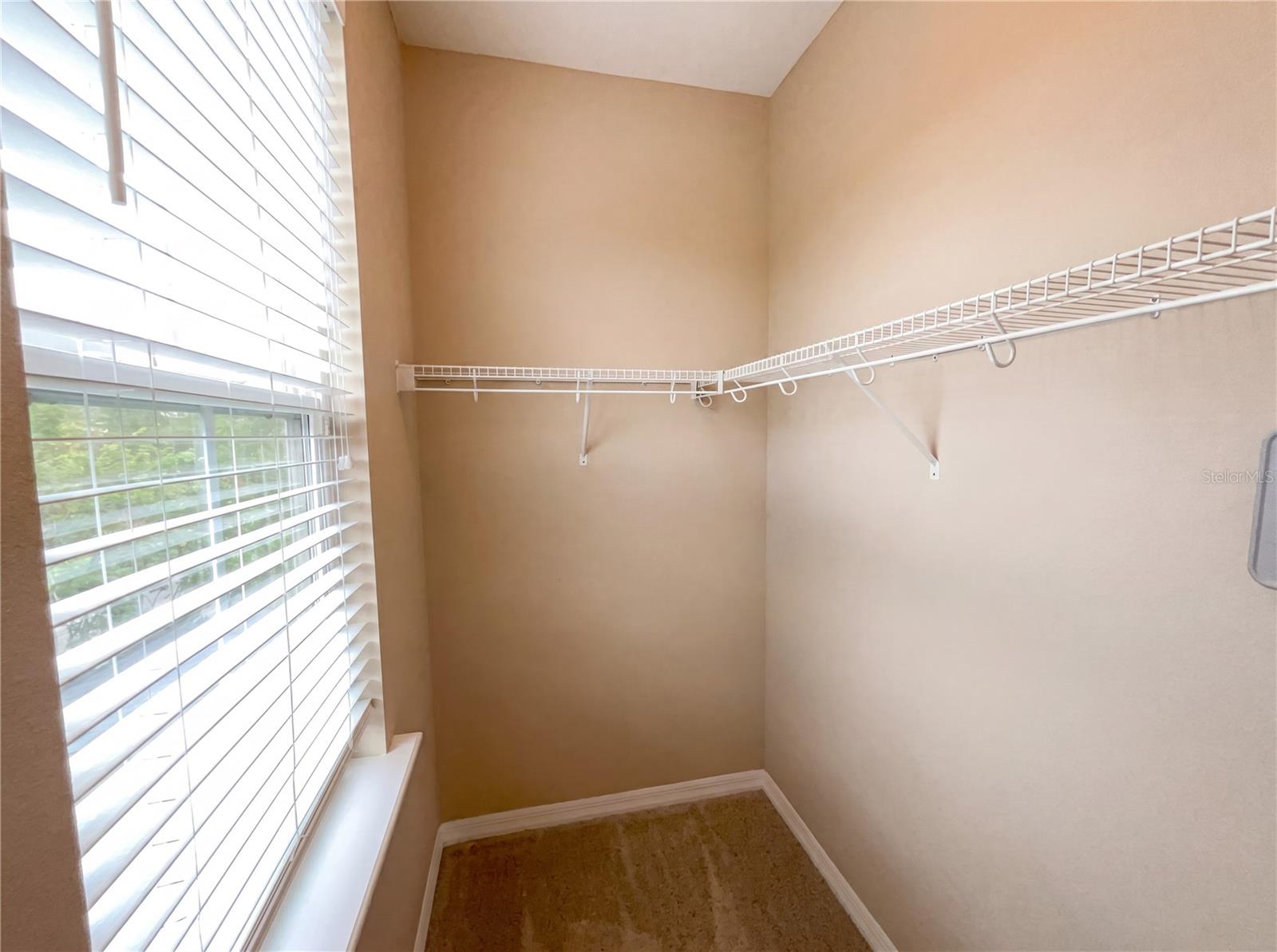 1338 UNION CLUB DR, WINTER GARDEN, FL — photo 29