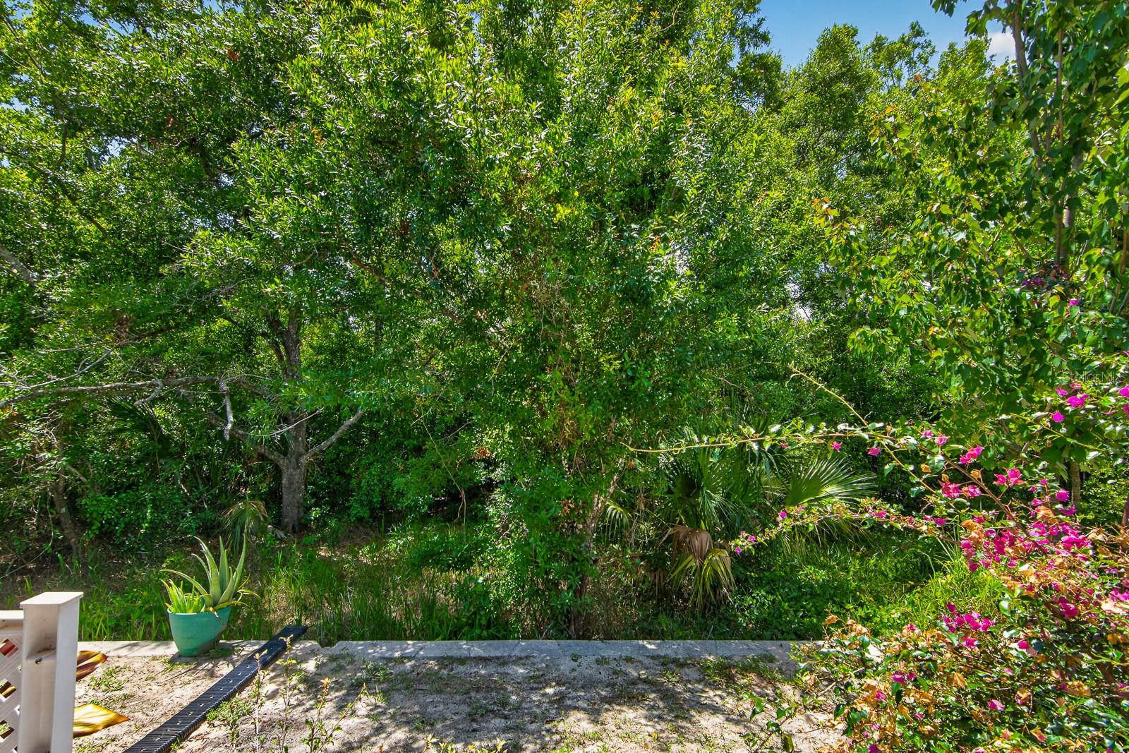 3083 VICTORIA INLET DR, HOLIDAY, FL — photo 27