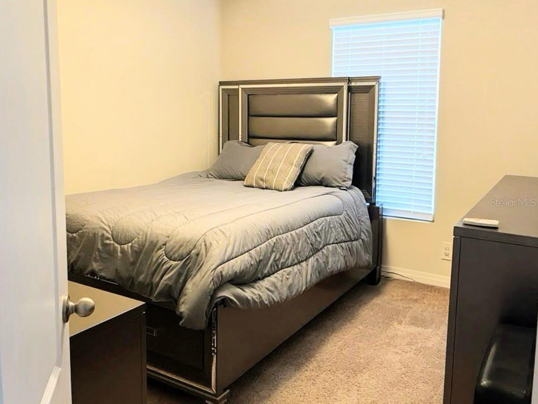13805 RIVER FISH CT, TAMPA, FL — photo 10