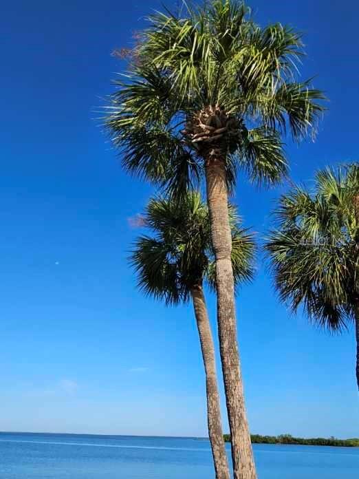 4851 W GANDY BLVD #5C, TAMPA, FL — photo 58