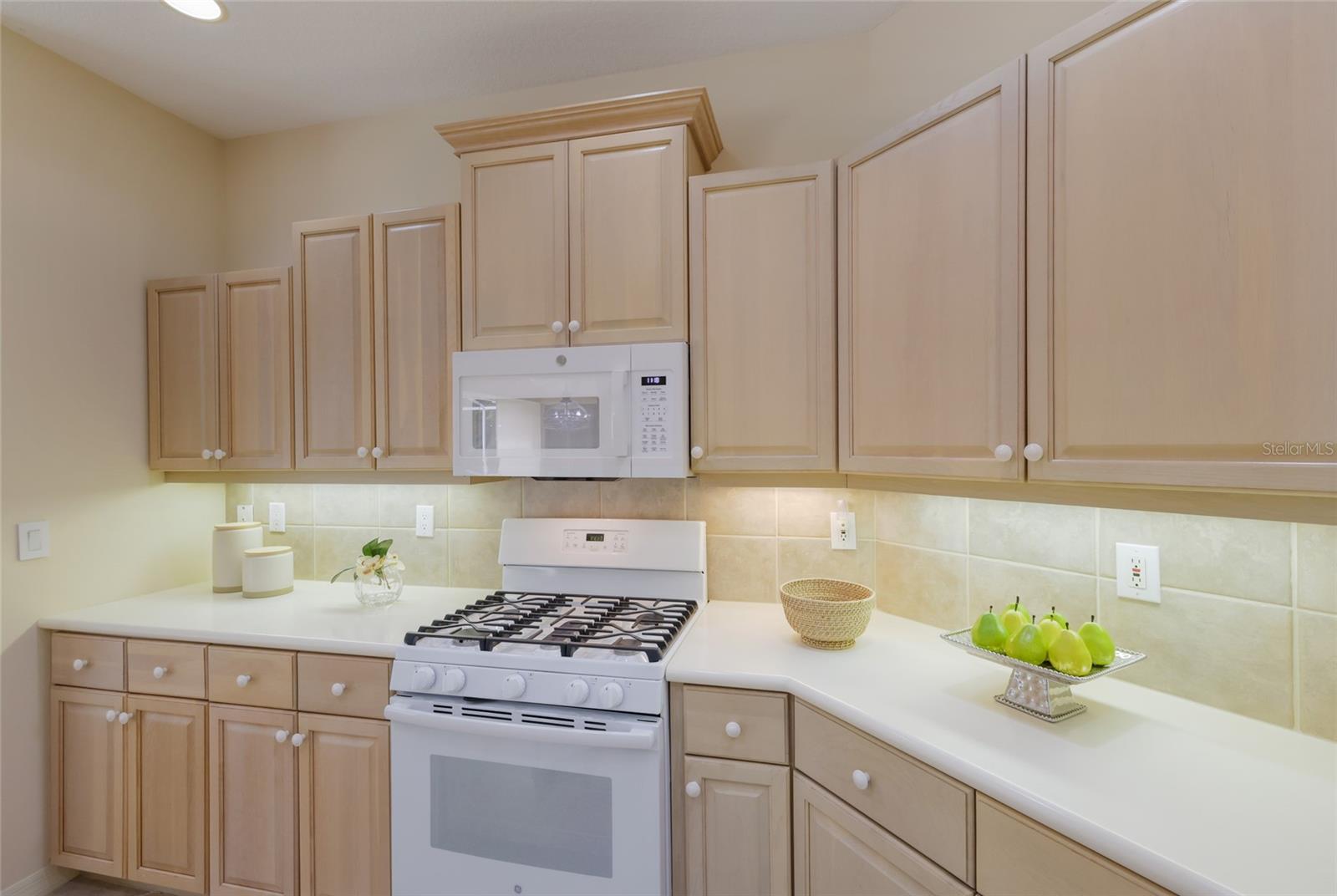 8005 WATERVIEW BLVD, LAKEWOOD RANCH, FL — photo 14