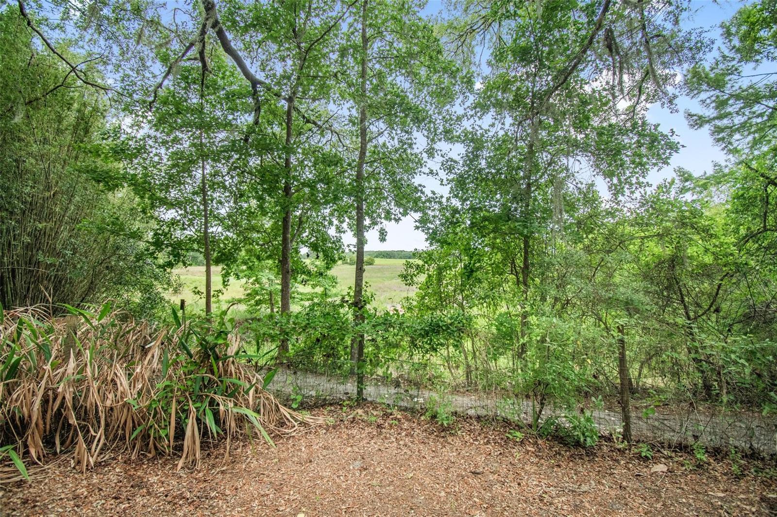 156 KINGFISH RD, POMONA PARK, FL — photo 46