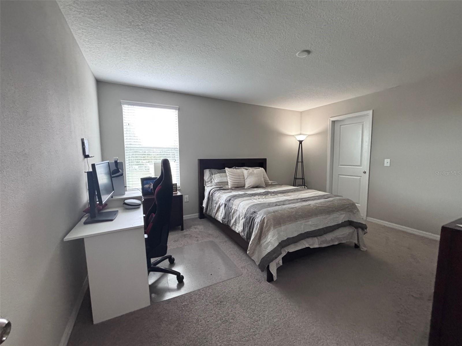405 SERENITY MILL LOOP, RUSKIN, FL — photo 18