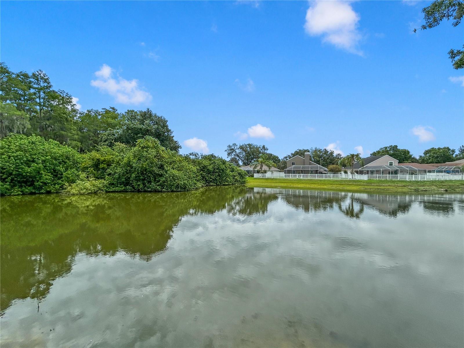 4842 WELLBROOK DR, NEW PORT RICHEY, FL — photo 50