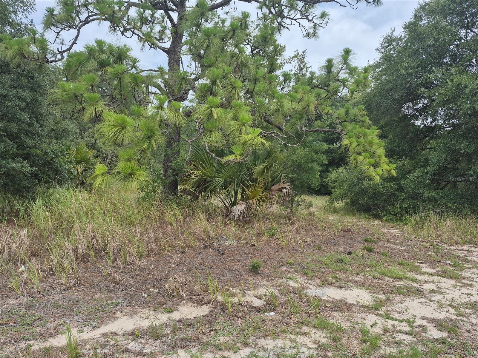 1626 S US 301, SUMTERVILLE, FL