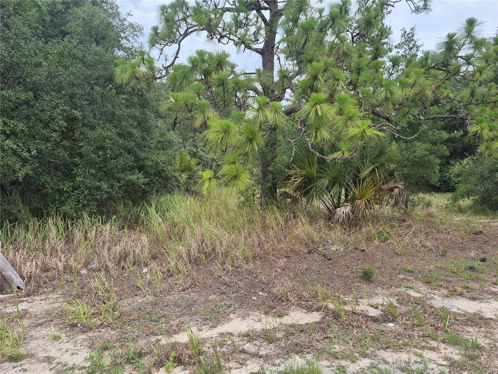 1626 S US 301, SUMTERVILLE, FL — photo 2