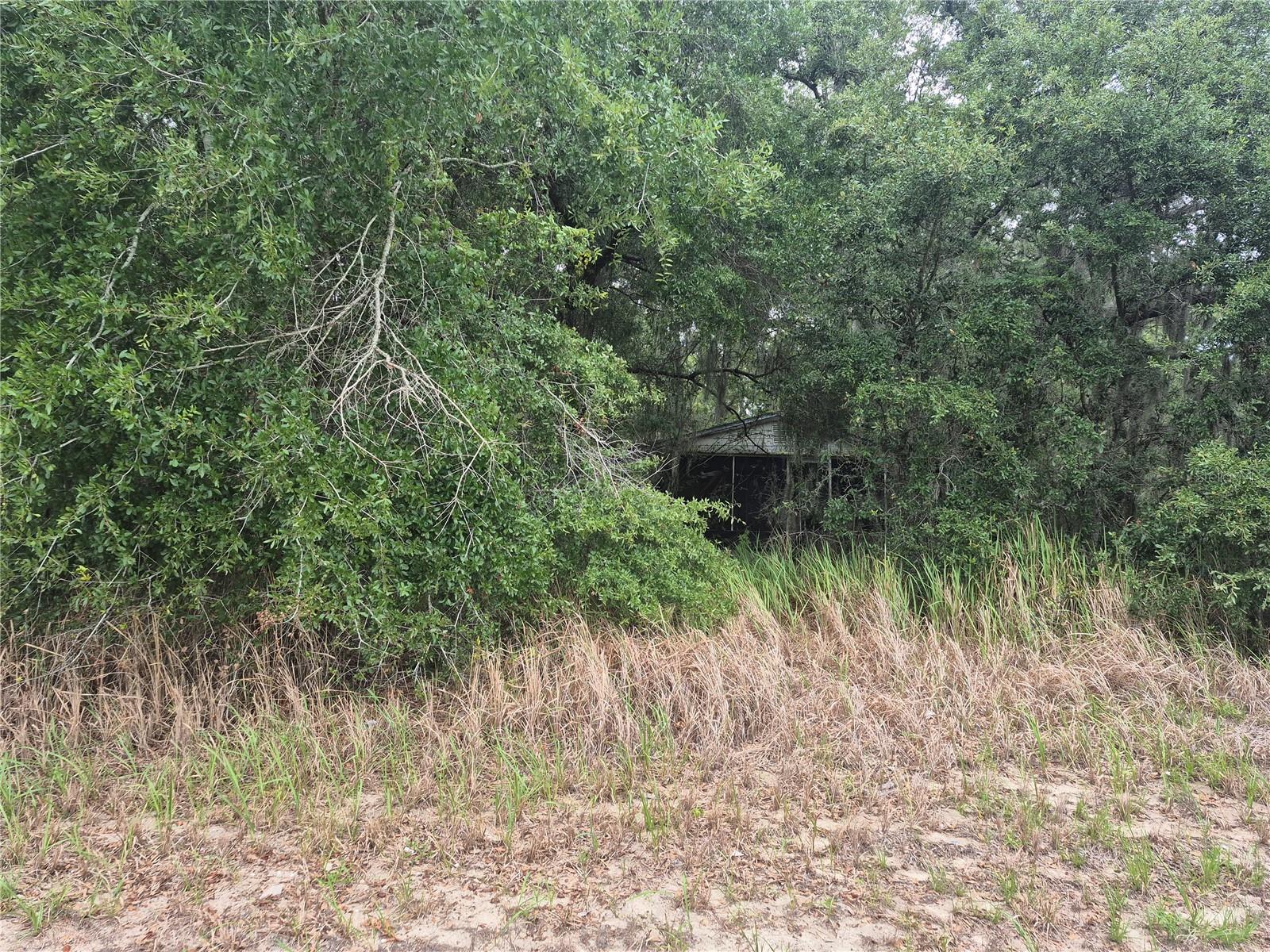 1626 S US 301, SUMTERVILLE, FL — photo 3