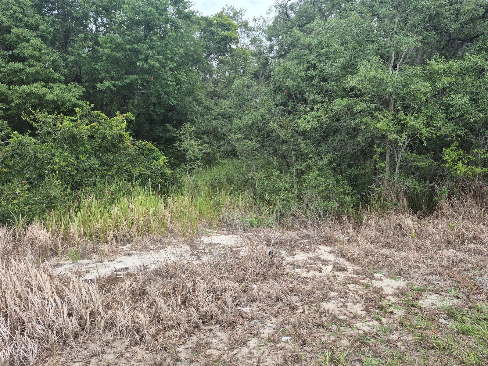 1626 S US 301, SUMTERVILLE, FL — photo 4