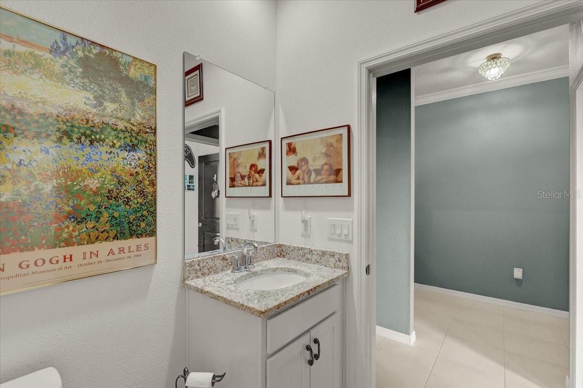 3921 MOSSY LIMB CT, PALMETTO, FL — photo 28