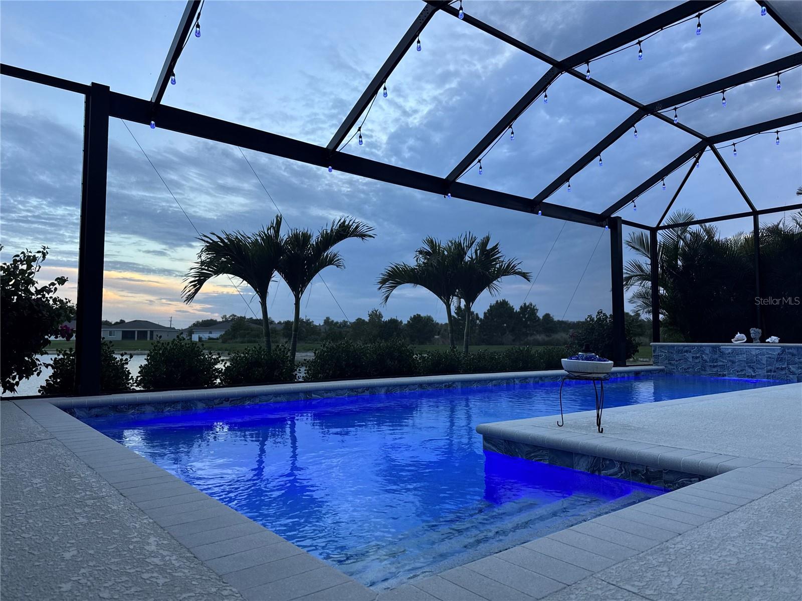 3921 MOSSY LIMB CT, PALMETTO, FL — photo 45