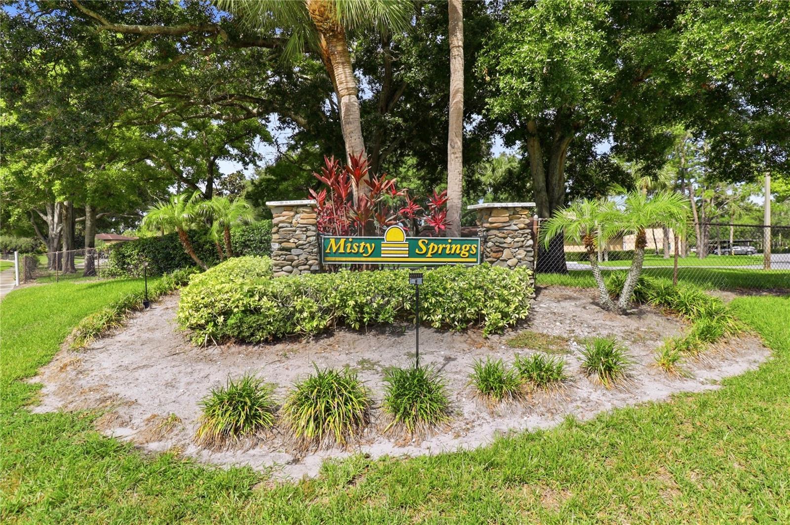2685 SABAL SPRINGS CIR #105, CLEARWATER, FL — photo 23