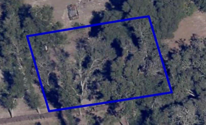 1621 CLARCONA RD, APOPKA, FL — photo 2