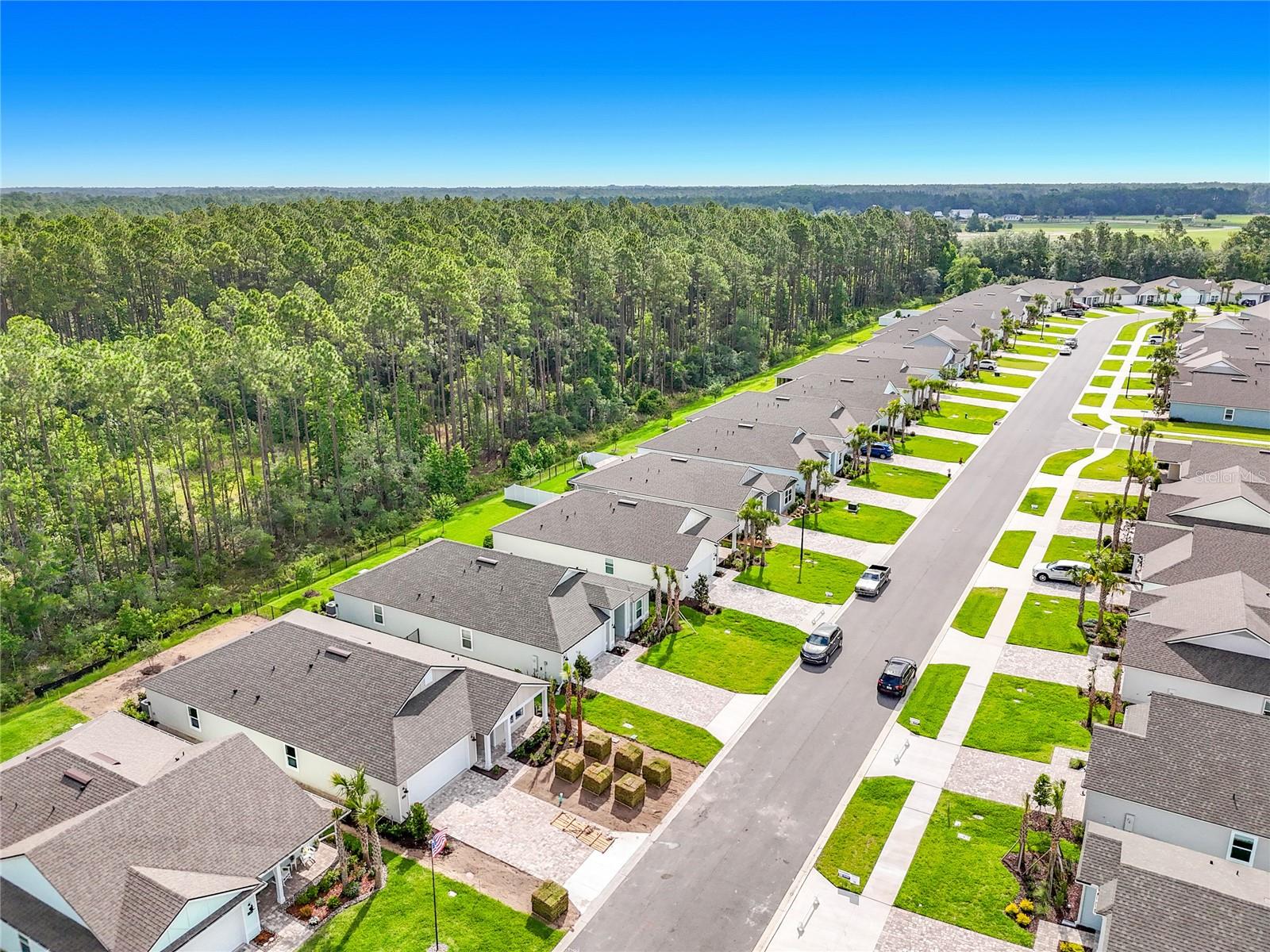 153 GREENWOOD DR, PALM COAST, FL — photo 41