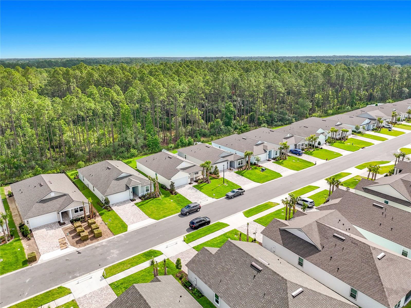153 GREENWOOD DR, PALM COAST, FL — photo 44