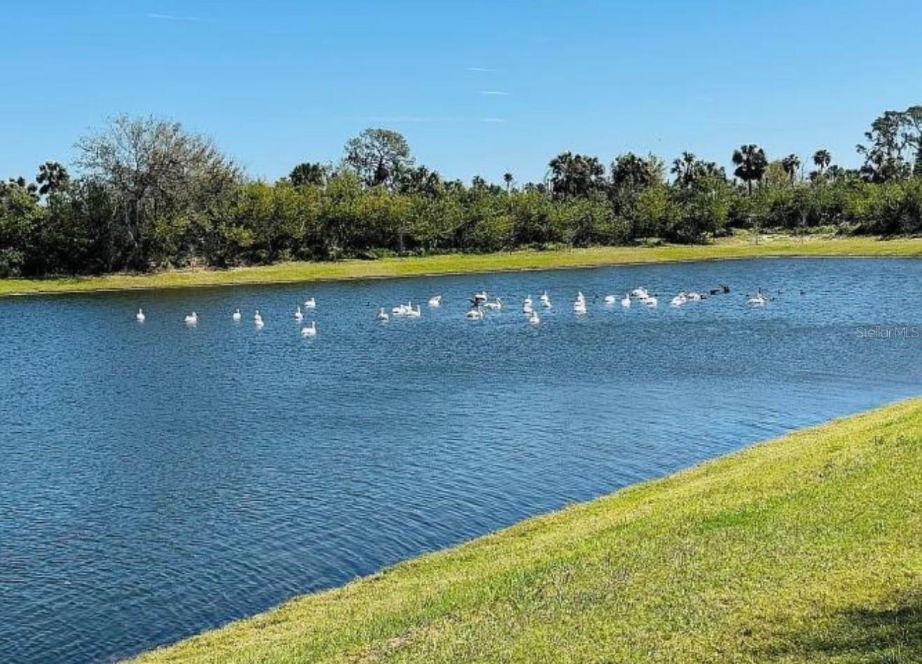 6272 BUCKET CT, GIBSONTON, FL — photo 26