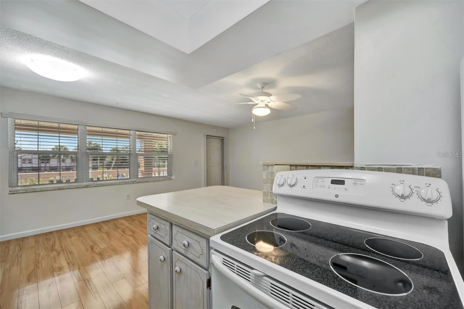 650 PINELLAS POINT DR S ##205, ST PETERSBURG, FL — photo 11