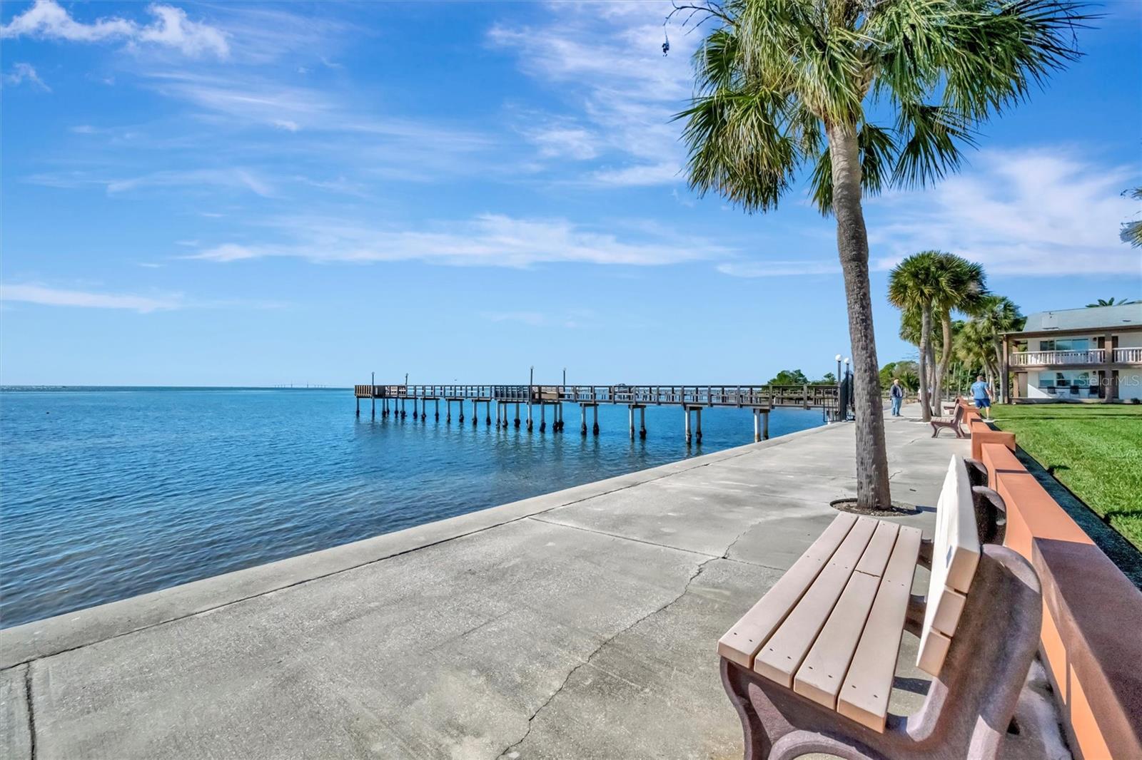 650 PINELLAS POINT DR S ##205, ST PETERSBURG, FL — photo 34