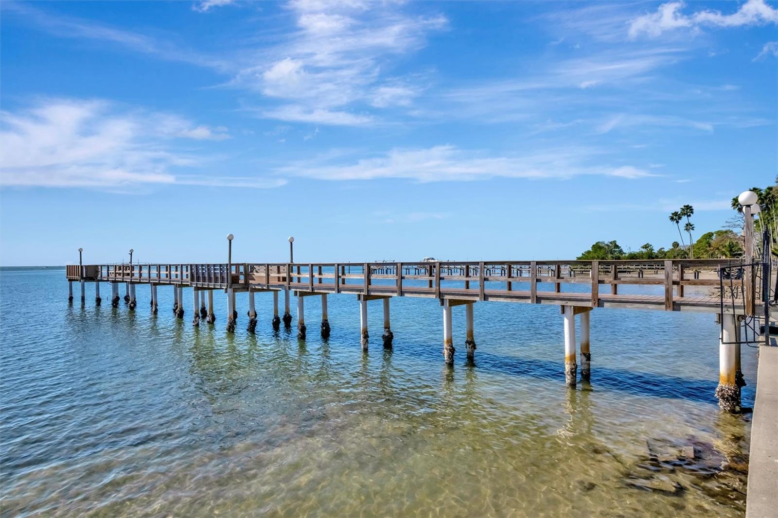 650 PINELLAS POINT DR S ##205, ST PETERSBURG, FL — photo 35