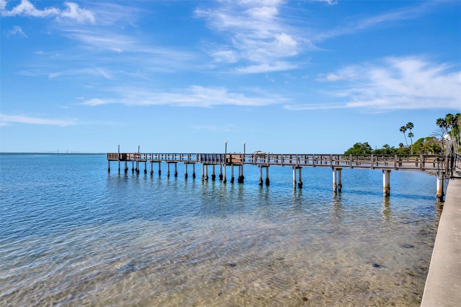 650 PINELLAS POINT DR S ##205, ST PETERSBURG, FL — photo 36