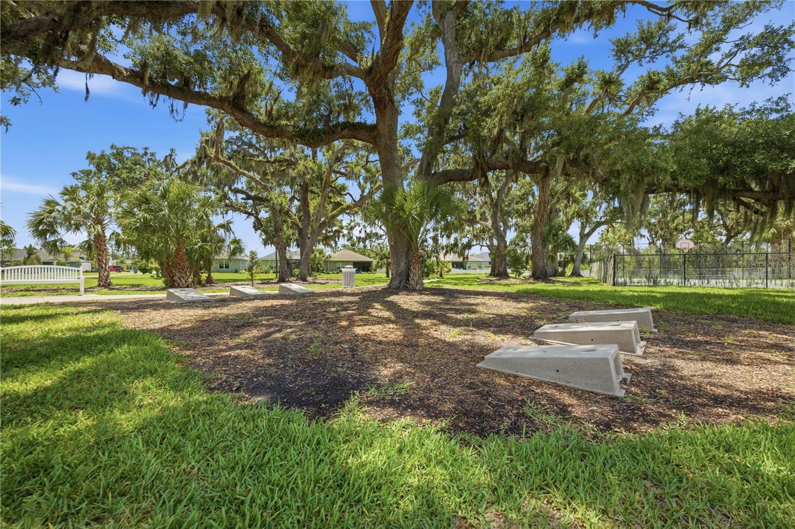 4504 DEEP CREEK TER, PARRISH, FL — photo 53