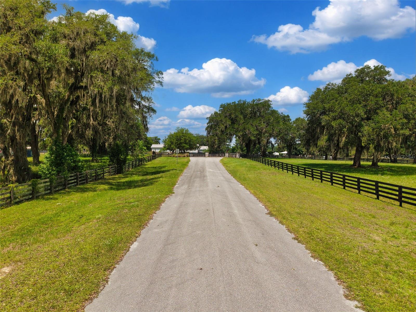 Lot 10 NW 123RD LN, MORRISTON, FL — photo 9