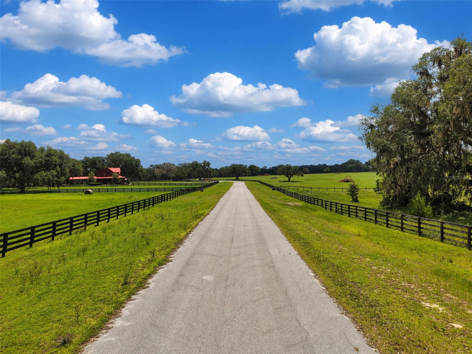 Lot 10 NW 123RD LN, MORRISTON, FL — photo 10