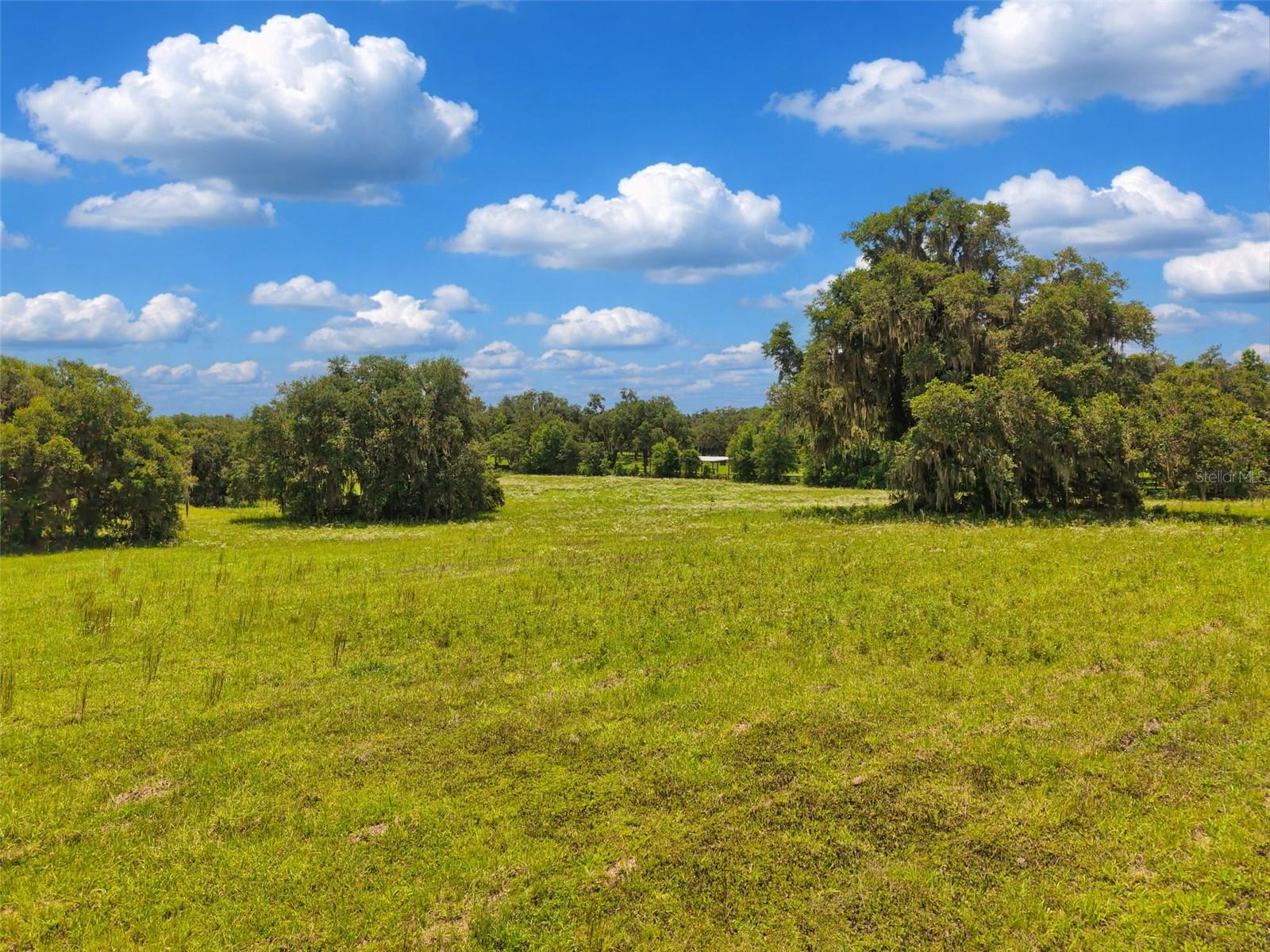 Lot 10 NW 123RD LN, MORRISTON, FL — photo 11