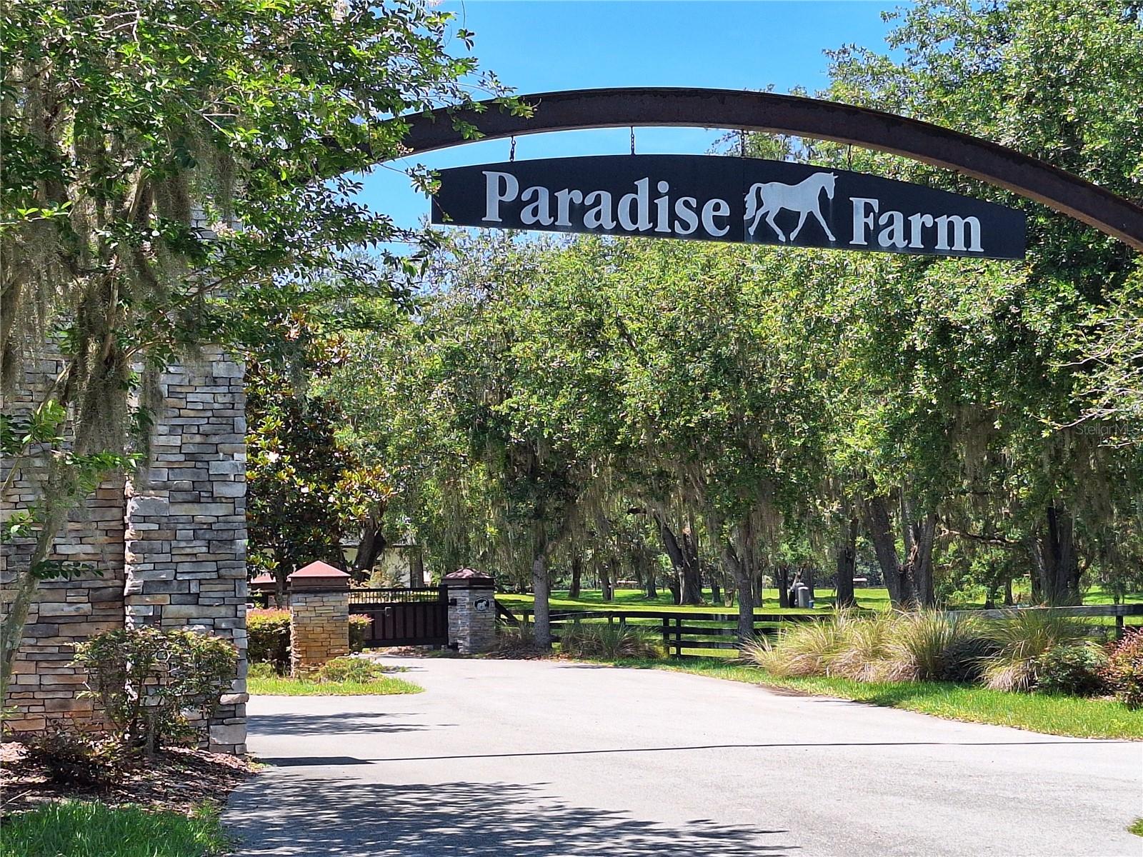 Lot 10 NW 123RD LN, MORRISTON, FL — photo 19