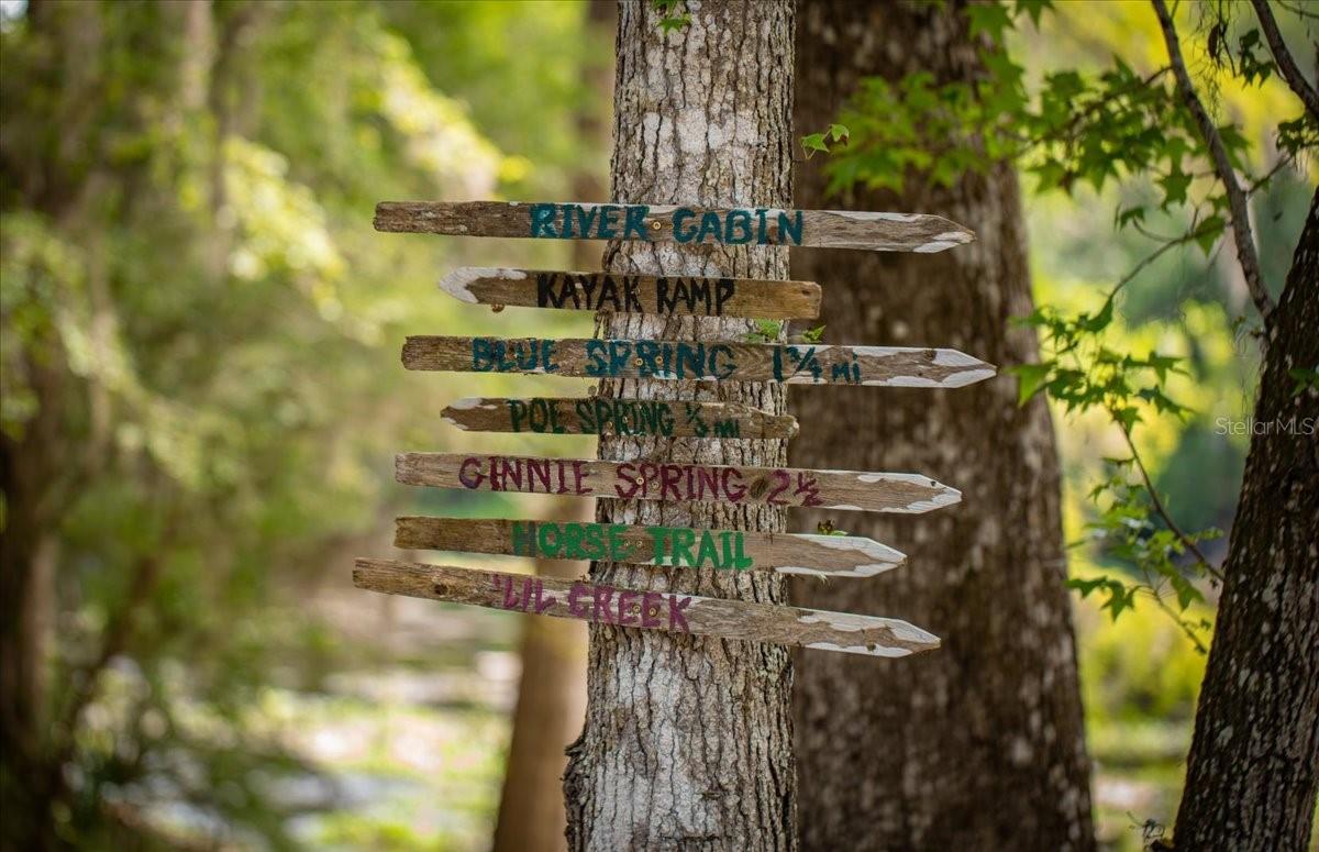 TBD SW BLUEBIRD CT, FORT WHITE, FL — photo 13