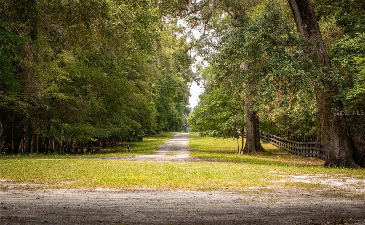 TBD SW BLUEBIRD CT, FORT WHITE, FL — photo 14