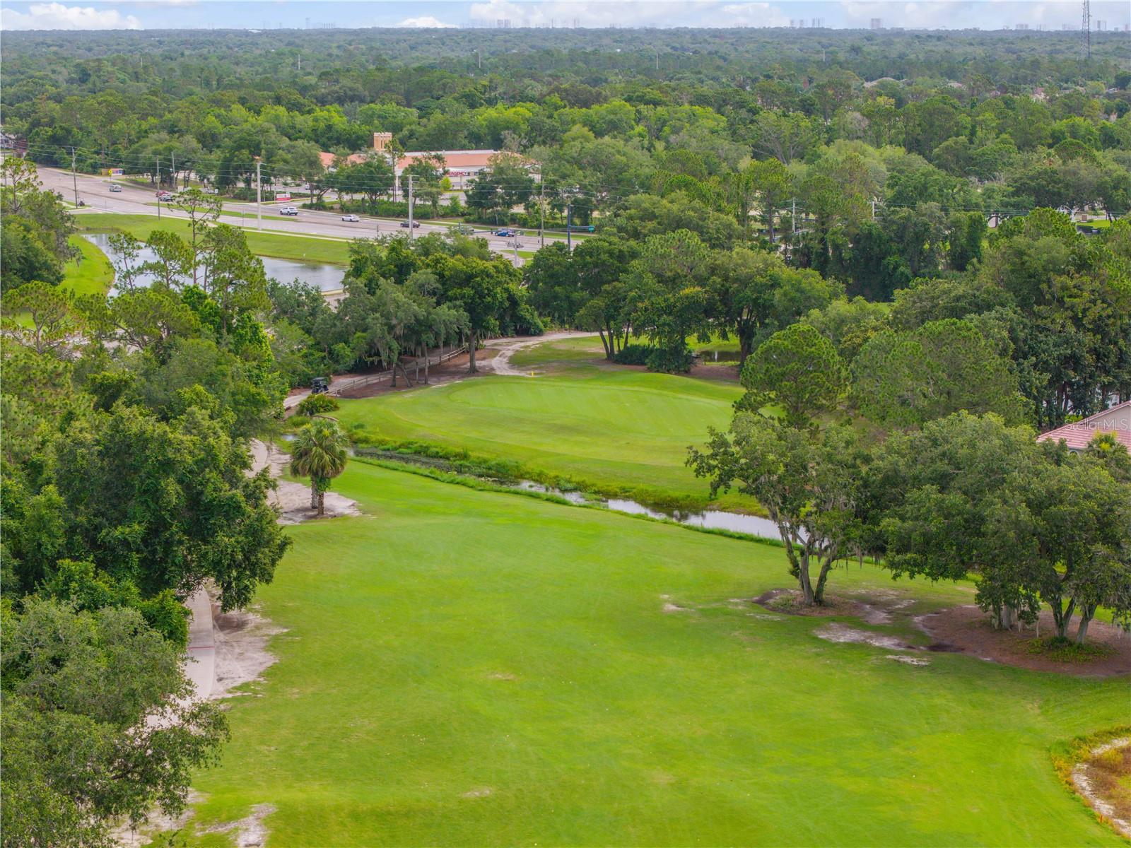 24 GOLF VILLA DR, PORT ORANGE, FL — photo 34